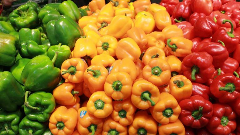 Capsicum: బొద్దుగా ఉండే క్యాప్సికంలో ఇంత మ్యాటర్ ఉందా..