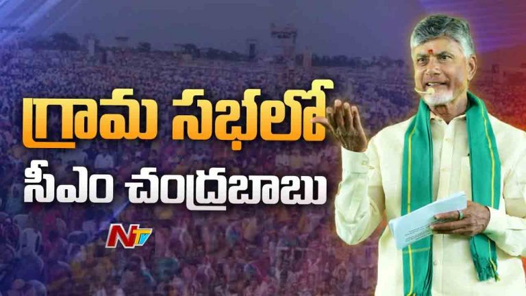 CM Chandrababu: ఏపీ ప్రజలకు గుడ్‌న్యూస్ .. రాష్ట్రంలోని అన్ని గ్రామాల్లో సీసీ రోడ్లు