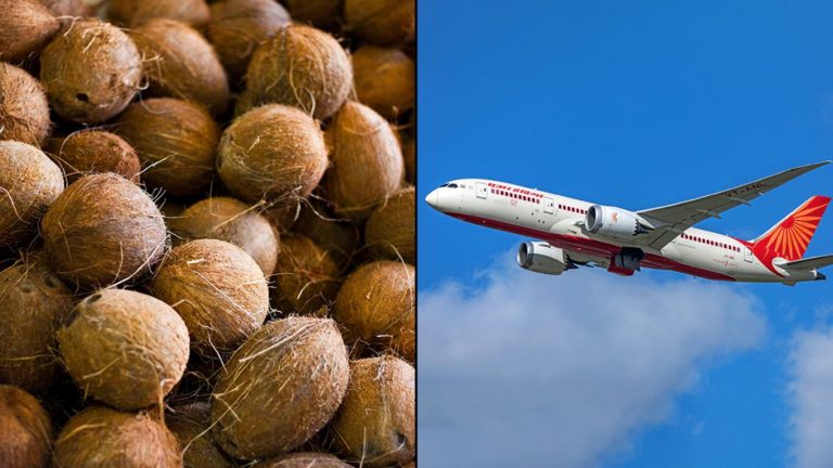 Coconut In Aeroplane: కొబ్బరికాయను విమానాల్లో ఎందుకు తీసుకెళ్లనివ్వరో తెలుసా.?