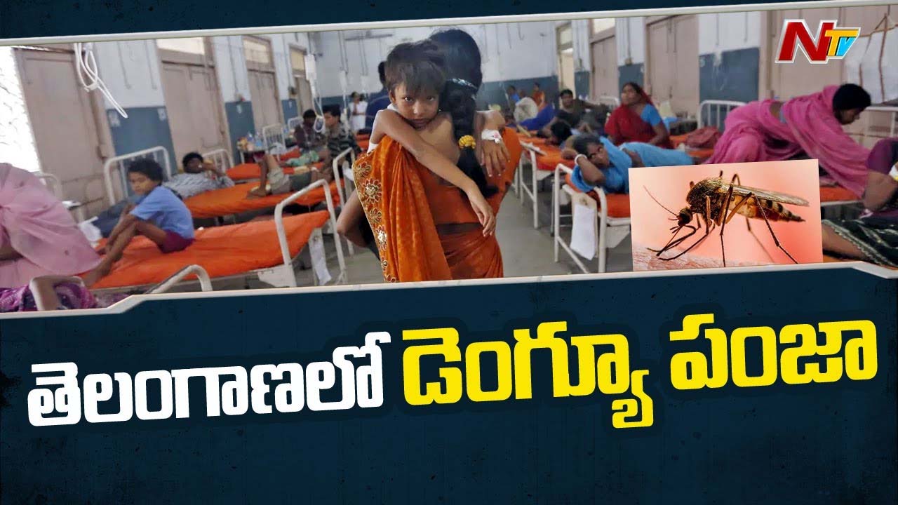 Dengue Fever: తెలంగాణలో డెంగ్యూ విజృంభణ.. ఈ వ్యాధి రాకుండా ఉండాలంటే ఈ టిప్స్ పాటించండి