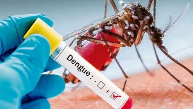 Dengue Fever: డెంగ్యూ రాకూండా ఈ ముందు జాగ్రత్తలు తీసుకోవాల్సిందే..