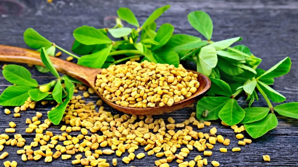 Fenugreek Seeds