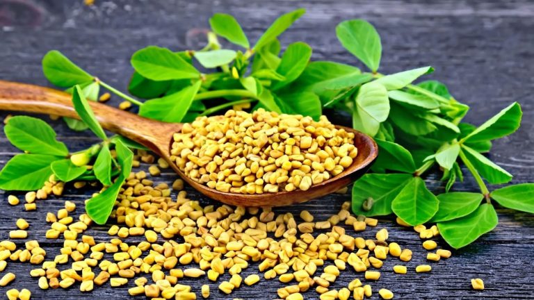 Fenugreek seeds: మెంతులు చూడడానికి అంతే ఉన్న తింటే మాత్రం బోలెడు ప్రయోజనాలు..