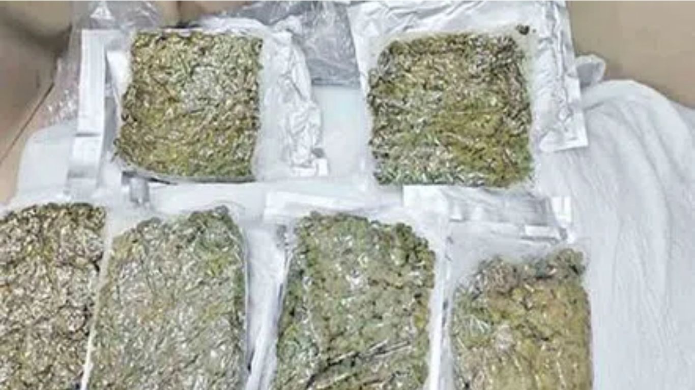 Hyderabad: హైదరాబాద్‌లో గంజాయి అమ్ముతున్న ముగ్గురు మహిళల అరెస్ట్..