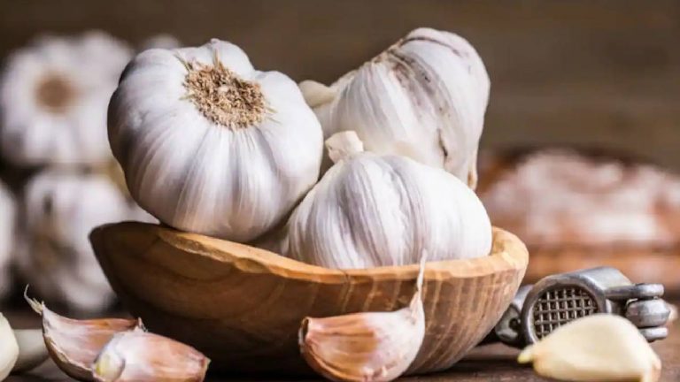 Garlic: వెల్లుల్లి కూరగాయా..? లేదా మసాలా..? దశాబ్ధాల చర్చకు హైకోర్టు పరిష్కారం..