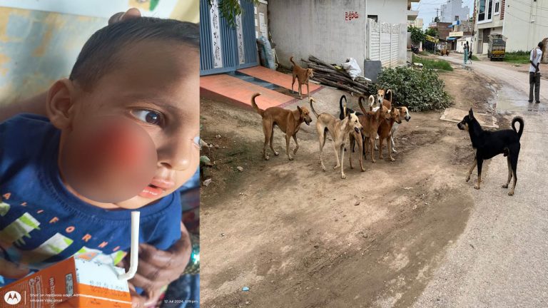 Dog Attack: కుక్కల దాడిలో మా బాబు చనిపోయాడు.. ప్రభుత్వం చర్యలు తీసుకోదా..?