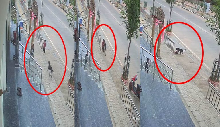 Karimnagar: వీధి కుక్కల దాడిలో చిన్నారికి తీవ్ర గాయాలు..