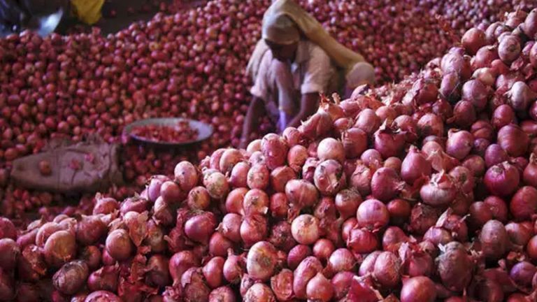 Kurnool Onion Price: కర్నూలు ఉల్లికి భారీ డిమాండ్.. కారణం ఏంటంటే?