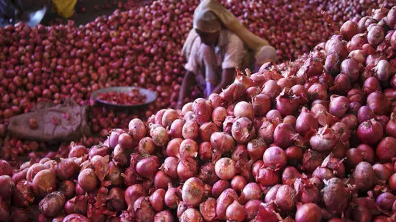 Kurnool Onion Price: కర్నూలు ఉల్లికి భారీ డిమాండ్.. కారణం ఏంటంటే?