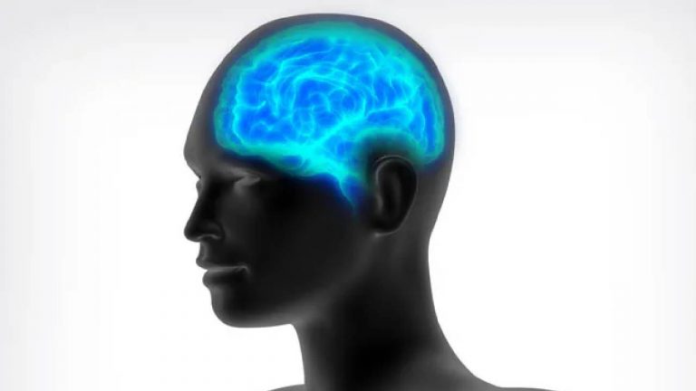 Love: మానవ మెదడులో ప్రేమ ఎక్కడ పుడుతుందో తెలుసా..? అధ్యయనంలో కీలక విషయాలు..