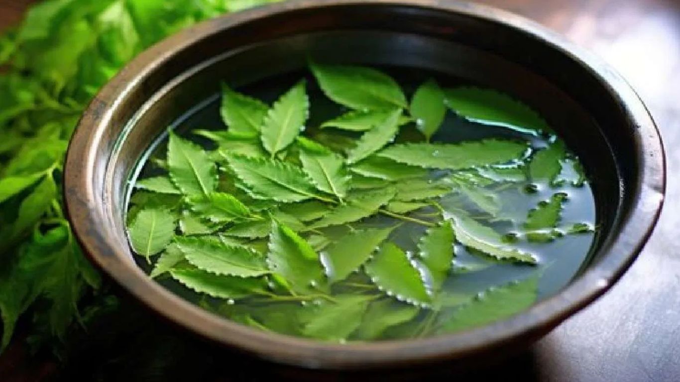 Neem Infused Water: వేప నీరు తాగితే శరీరంలో ఇన్ని మార్పులా.?