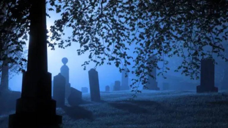 Pakistan : పాకిస్తాన్ లో ఘోరం.. సమాధి నుంచి శవాలను తీసి అత్యాచారం