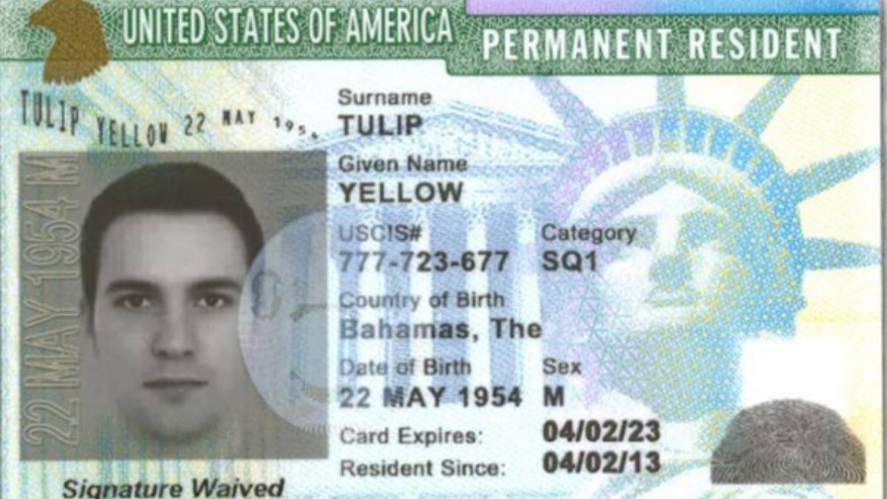 US Green Card : అమెరికా గ్రీన్ కార్డుల్లో ఆ దేశం ఫస్ట్ ప్లేస్.. మన దేశం ఎక్కడుందంటే ?