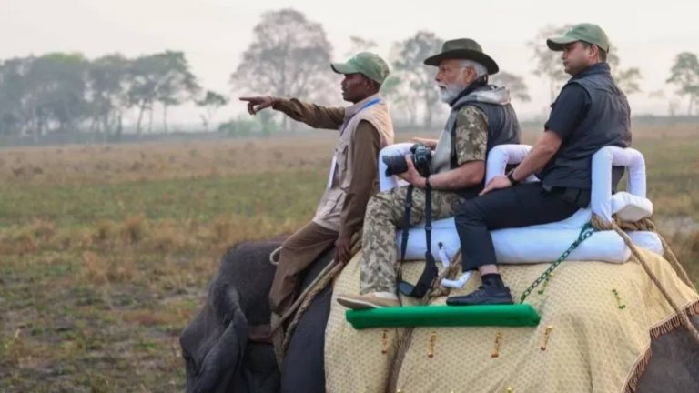 World Elephant Day 2024: నేడు ఏనుగుల దినోత్సవం.. ఏనుగు సంస్కృతి, చరిత్రలో భాగం