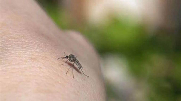 America : అమెరికాలో అంతుచిక్కని వ్యాధి.. హడలిపోతున్న జనాలు