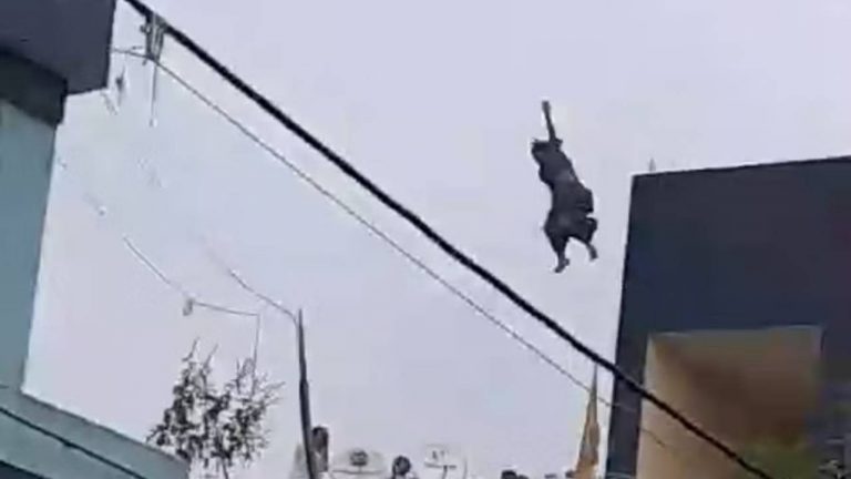 Live Sucide Video : చూస్తుండగానే.. మూడో అంతస్తు నుంచి దూకి ఆత్మహత్య చేసుకున్న వివాహిత