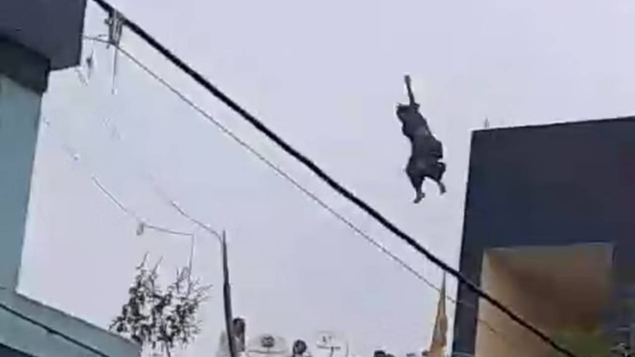 Live Sucide Video : చూస్తుండగానే.. మూడో అంతస్తు నుంచి దూకి ఆత్మహత్య చేసుకున్న వివాహిత