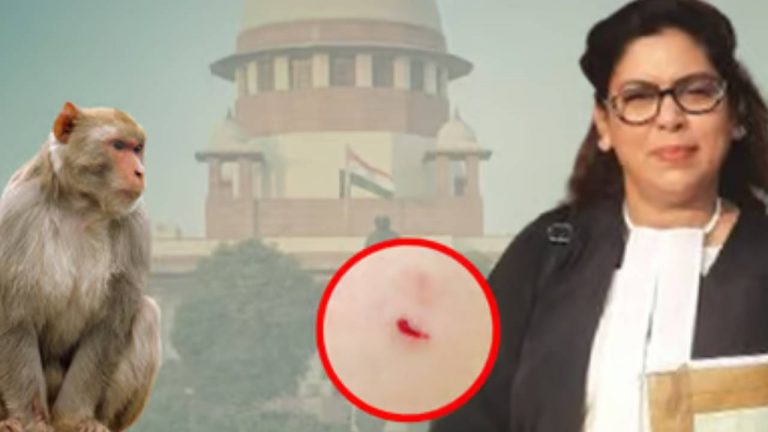 Supreme Court : సుప్రీంకోర్టు ఆవరణలో లాయర్ తొడ కొరికేసిన కోతి