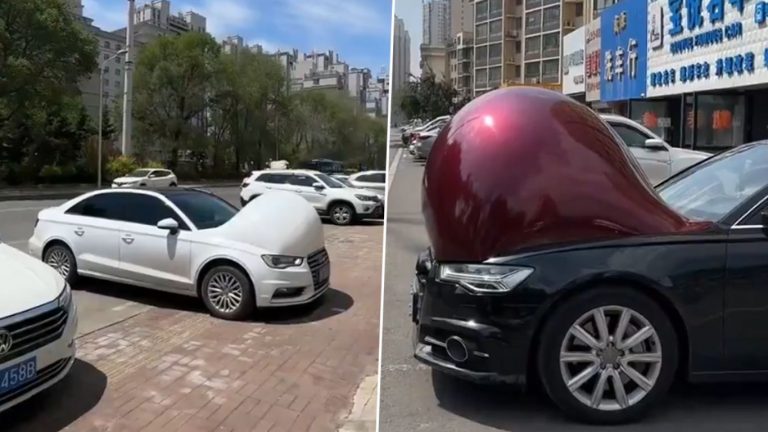 Pregnant Cars: ఇదేందయ్యా ఇది.. కార్లేంటి ఇలా అయిపోయాయి..