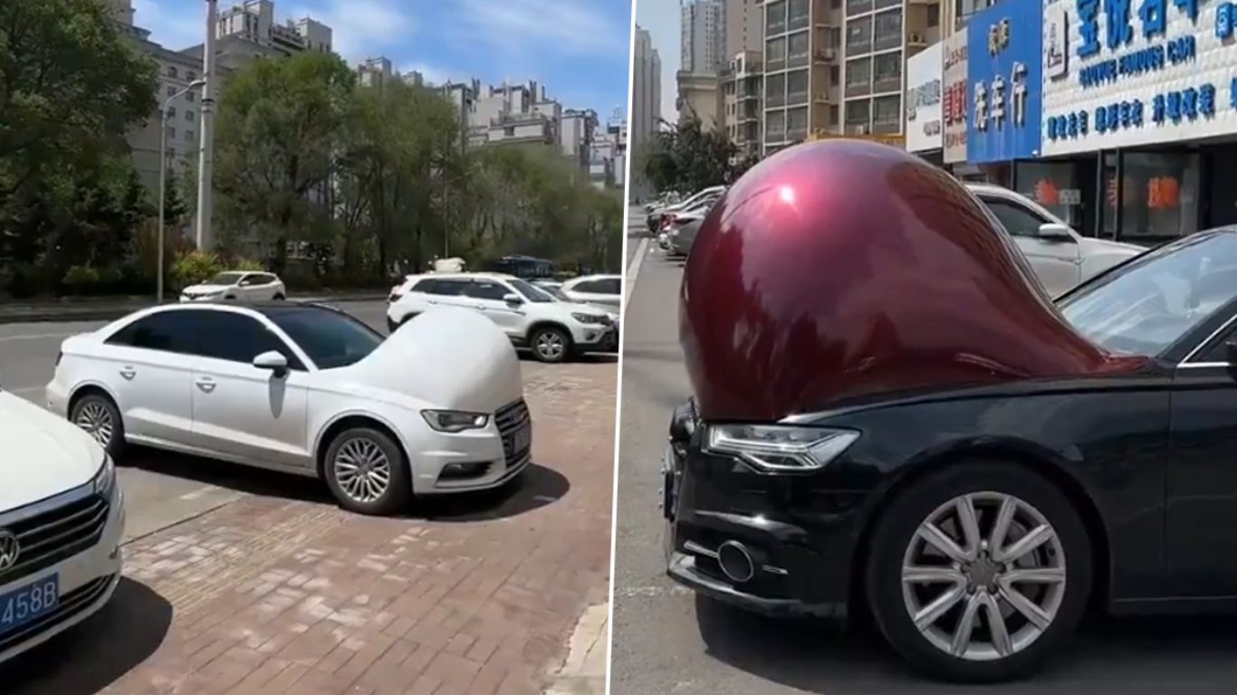 Pregnant Cars: ఇదేందయ్యా ఇది.. కార్లేంటి ఇలా అయిపోయాయి..