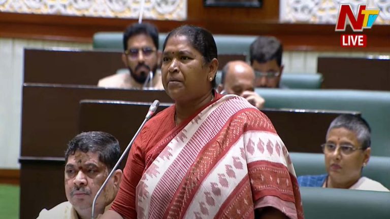 Minister Seethakka: ధరణి ఎప్పుడు మారుస్తారని ప్రజలు అడుగుతున్నారు..