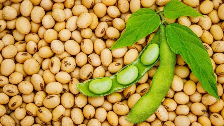 Soybeans: గుండె పదిలంగా ఉండాలంటే వీటిని తినక తప్పదు..