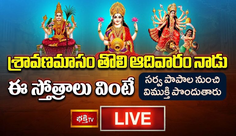 Mahalakshmi Stotram: శ్రావణమాసం ఈ స్తోత్రాలు వింటే విముక్తి పొందుతారు.