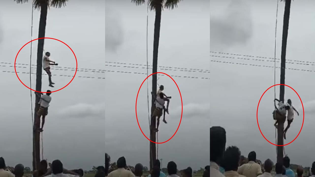 Suryapet Crime: తాటిచెట్టుకు ఉరివేసుకున్న వ్యక్తి.. మృతదేహాన్ని దించుతుండగా షాకింగ్ ఘటన