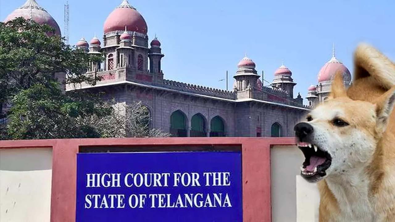 TG High Court Serious: కుక్కలను పునరావాస కేంద్రాలకు పంపండి..