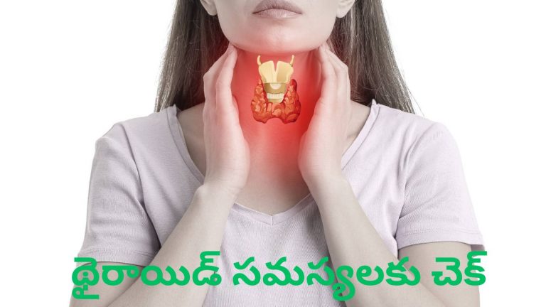 Thyroid problems: థైరాయిడ్ సమస్యలకు ఇలా చెక్ పెట్టేయండి..