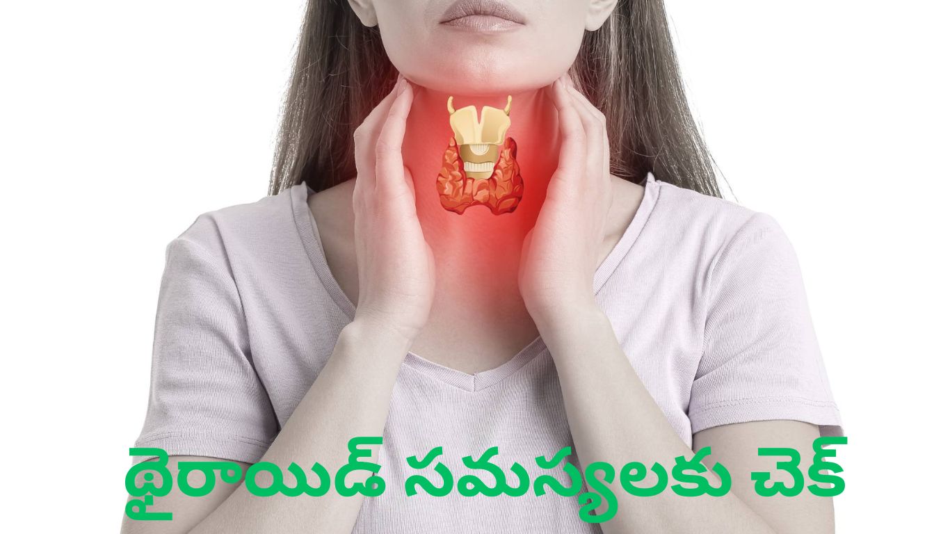 Thyroid problems: థైరాయిడ్ సమస్యలకు ఇలా చెక్ పెట్టేయండి..