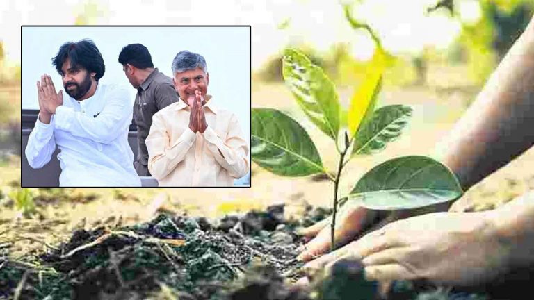 Vana Mahotsavam: నేడు నరసరావుపేటకు సీఎం చంద్రబాబు, డిప్యూటీ సీఎం పవన్‌.. ఇదే తొలిసారి