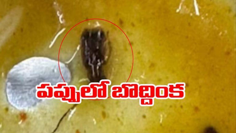 Vande bharat train: వందే భారత్ రైల్లో కలుషిత ఆహారం.. పప్పులో బొద్దింక ప్రత్యక్షం