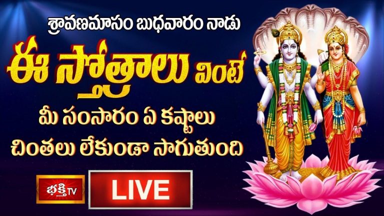 Vishnu Stotram: ఈ స్తోత్రాలు వింటే  ఏ కష్టాలు, చింతలు లేకుండా సాగుతుంది..