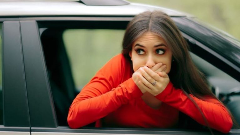 Motion Sickness: చాలామందికి ప్రయాణాలలో వాంతులవుతుంటాయి.. ఎందుకో తెలుసా.?