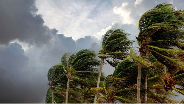 Weather Alert: గుజరాత్ సమీపంలో తీవ్ర అల్పపీడనం.. 6 గంటల్లో తుఫాన్‌‌గా మారే ఛాన్స్