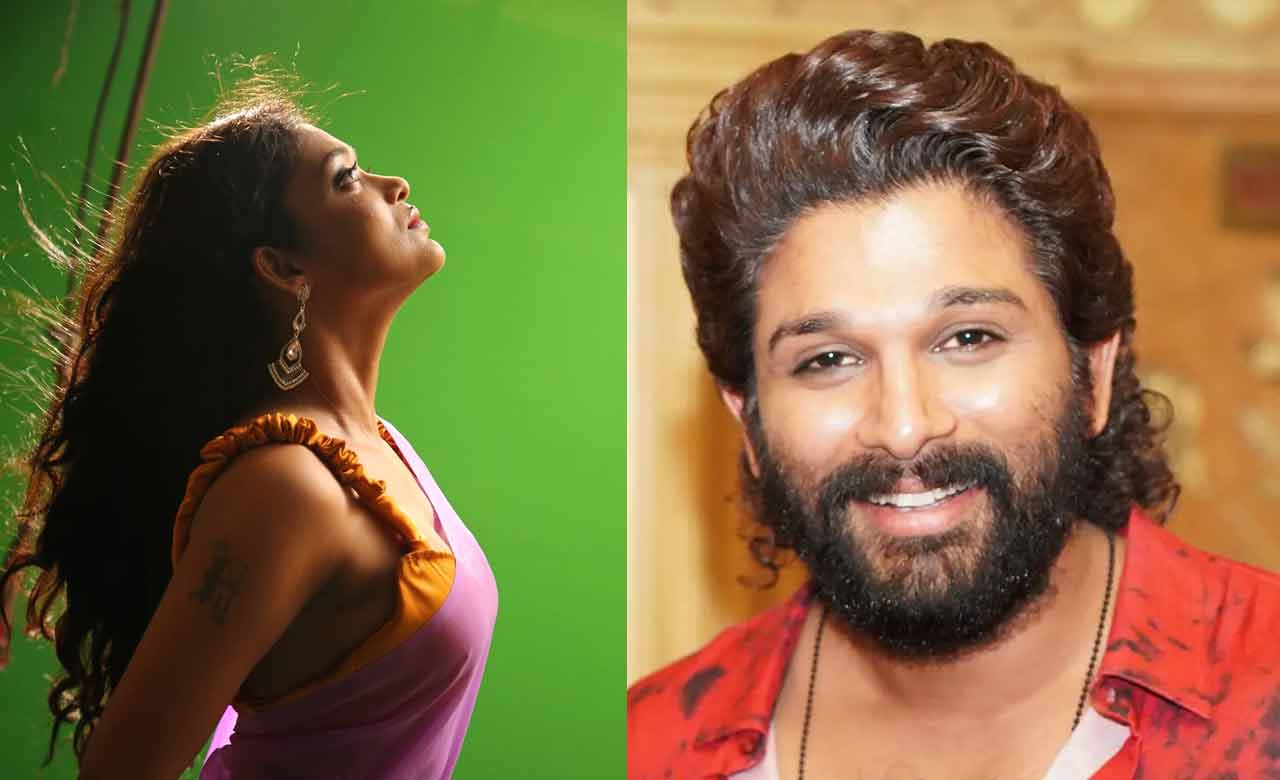 Allu Arjun: మెగాస్టార్ లేకపోతే మీరంతా ఎక్కడ ? అల్లు అర్జున్ పై హీరోయిన్ సంచలన వ్యాఖ్యలు