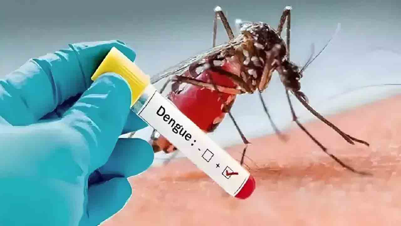 Dengue Fever: తెలంగాణలో విజృంభిస్తున్న డెంగ్యూ.. ఆసుపత్రులకు పేషెంట్స్ క్యూ..!