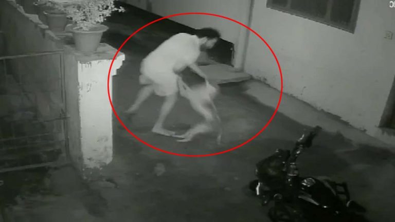 UP Video: యూపీలో వీధి కుక్కు స్వైర విహారం.. గంటలో 17 మందిపై ఎటాక్