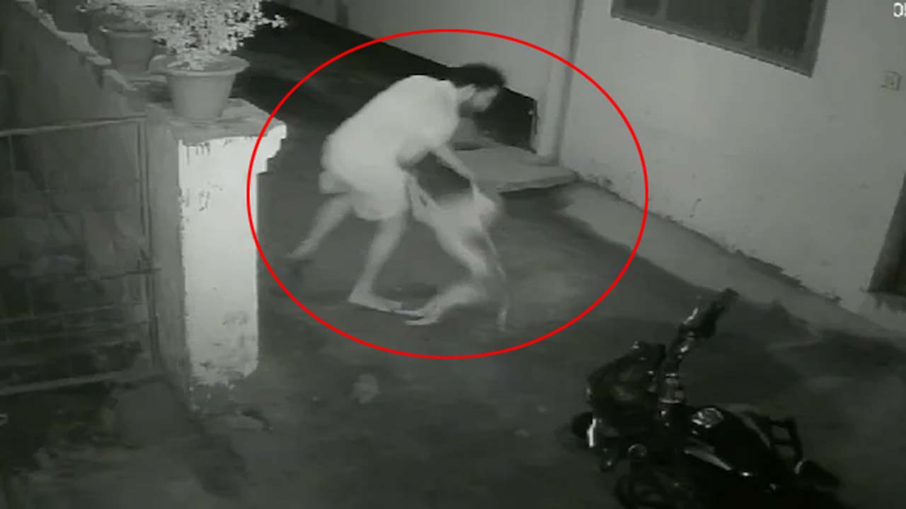 UP Video: యూపీలో వీధి కుక్కు స్వైర విహారం.. గంటలో 17 మందిపై ఎటాక్