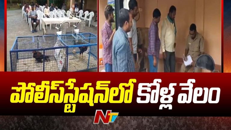Kamanpur Police: పోలీస్ స్టేషన్లో కోళ్ల వేలం.. ఒక్కొక్కటి ఎన్ని వేలో తెలుసా ?