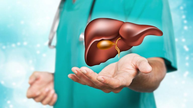 Liver Health: కాలేయం దాదాపు 500 విధులు నిర్వహిస్తుంది.. ఇంతకీ మీ లివర్ సేఫేనా..?