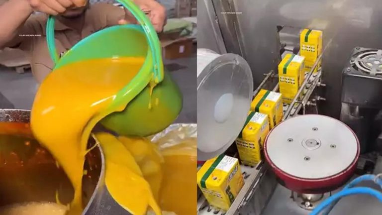 Viral Video: ఈ వీడియో చూస్తే మ్యాంగో జ్యూస్‌ ను అస్సలు ముట్టరు..