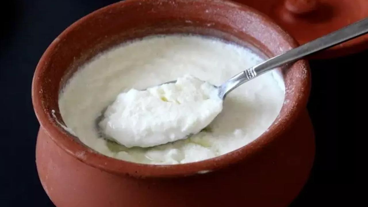 Curd: వర్షాకాలంలో పెరుగు తినడం వల్ల ఎన్ని లాభాలో తెలుసా..?