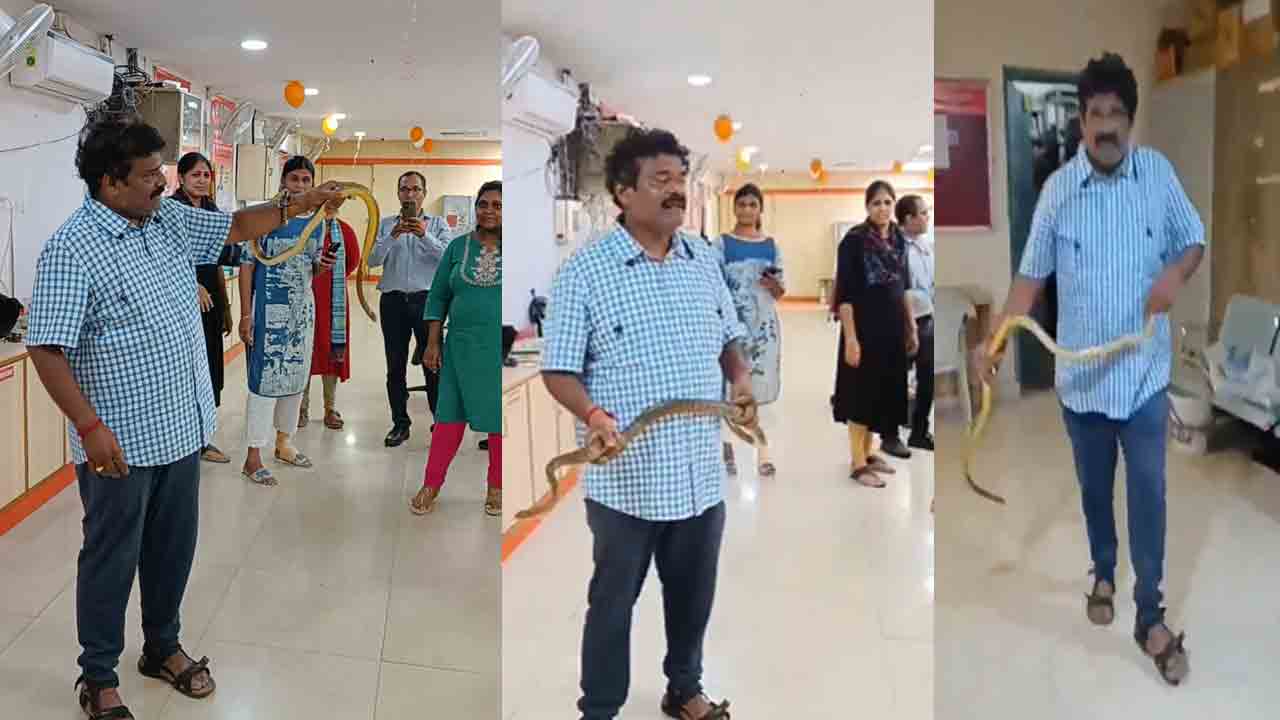 Snake Enter In Bank: విశాఖ స్టీల్ ప్లాంట్⁬లోని బ్యాంక్ ఆఫ్ బరోడాలో పాము కలకలం..