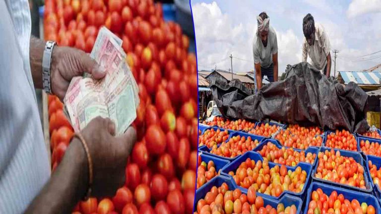 Tomato Price: భారీగా తగ్గిపోయిన టమాటా ధర.. బోరున విలపిస్తున్న రైతులు