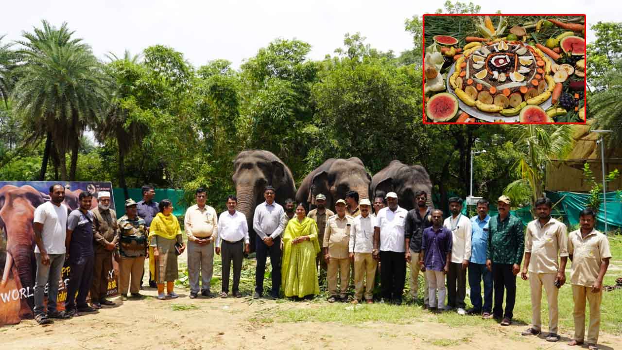 World Elephant Day : నెహ్రూ జూలో నాలుగు ఏనుగులకు జంబో విందు