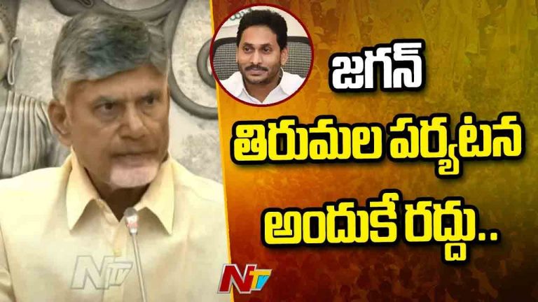 CM Chandrababu: జగన్‌ తిరుమల పర్యటన అందుకే రద్దు.. సీఎం చంద్రబాబు కీలక వ్యాఖ్యలు