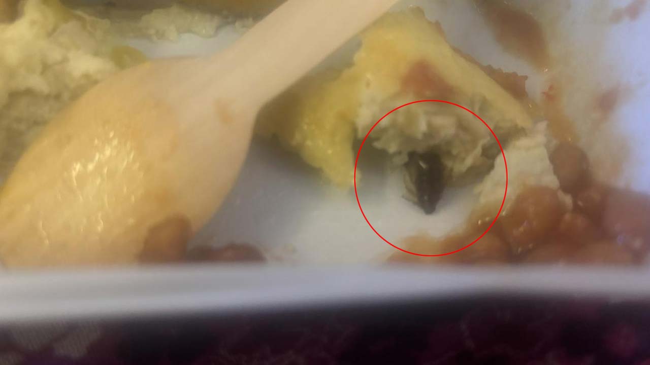 Air India flight: ఆమ్లెట్‌లో బొద్దింక ప్రత్యక్షం.. ప్రయాణికుడికి అస్వస్థత