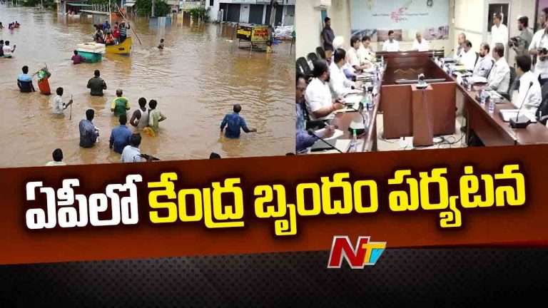 Andhra Pradesh: వరద ప్రభావిత ప్రాంతాల్లో  కేంద్ర బృందం పర్యటన